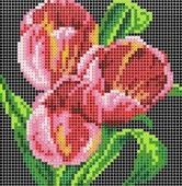 схема "тюльпаны" г-029